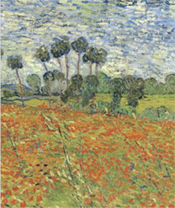 Cover of Raven Biology of Plants
